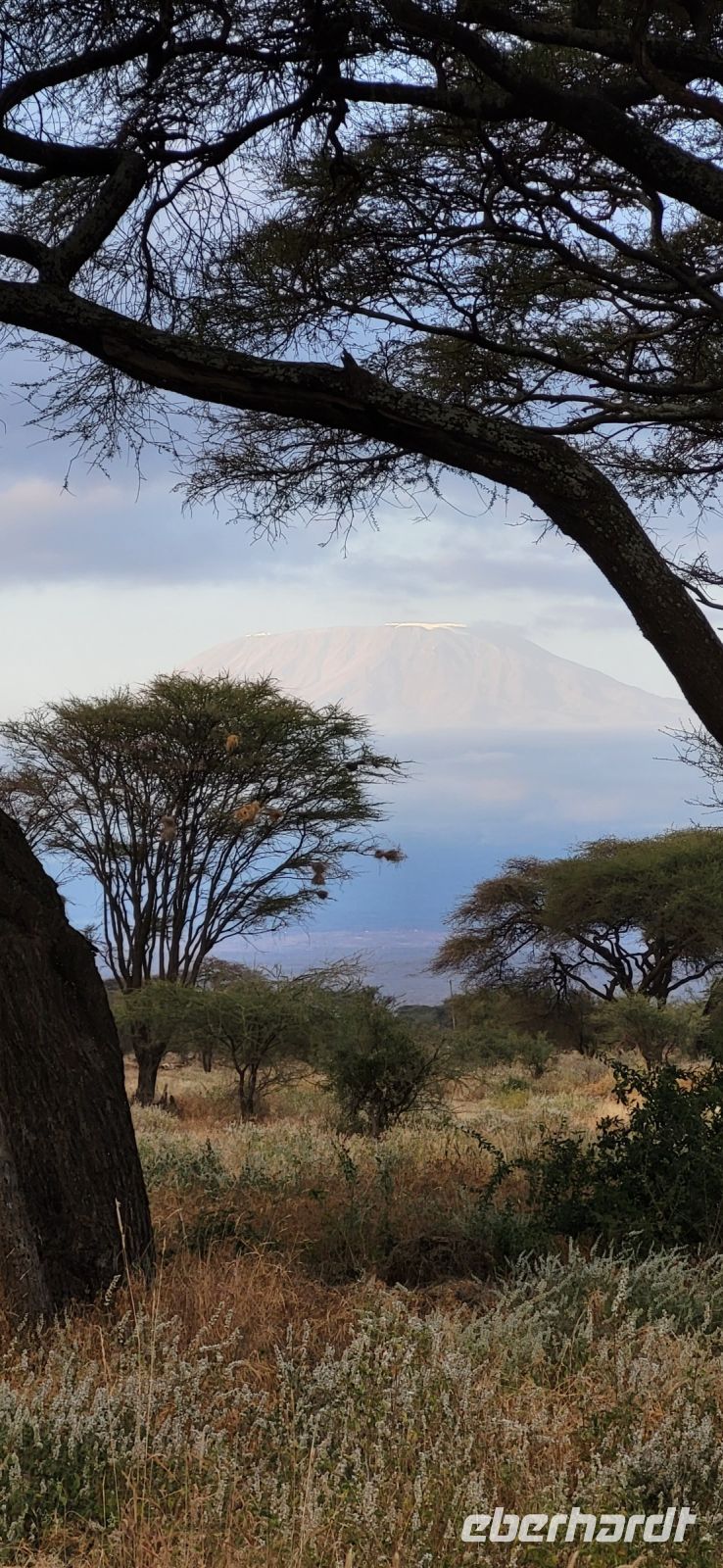 356 Kilimandscharo