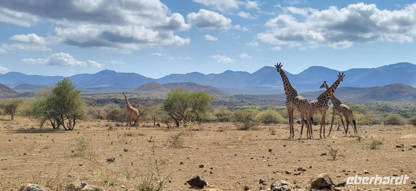 363 Richtung Tsavo West