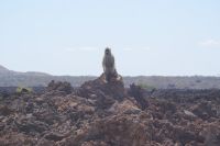 370 Shentani Lavafeld