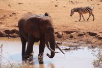 373 Ausblick Kilanguni Lodge