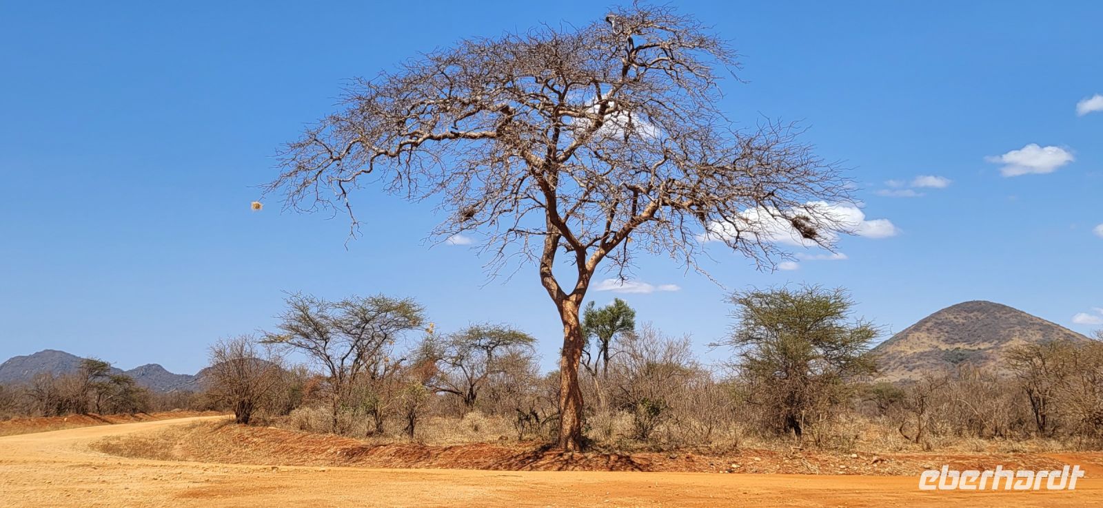 375 Safari Tsavo West