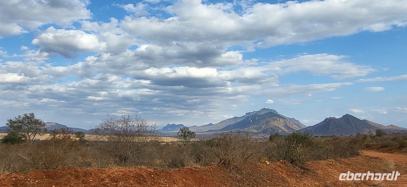 377 Safari Tsavo West