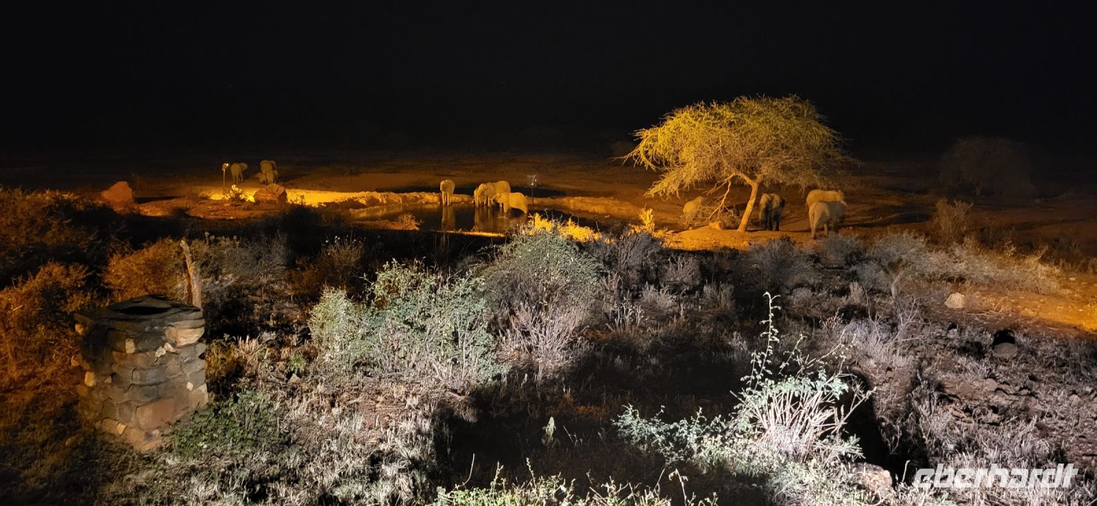 389 Abenstimmung am Wasserloch