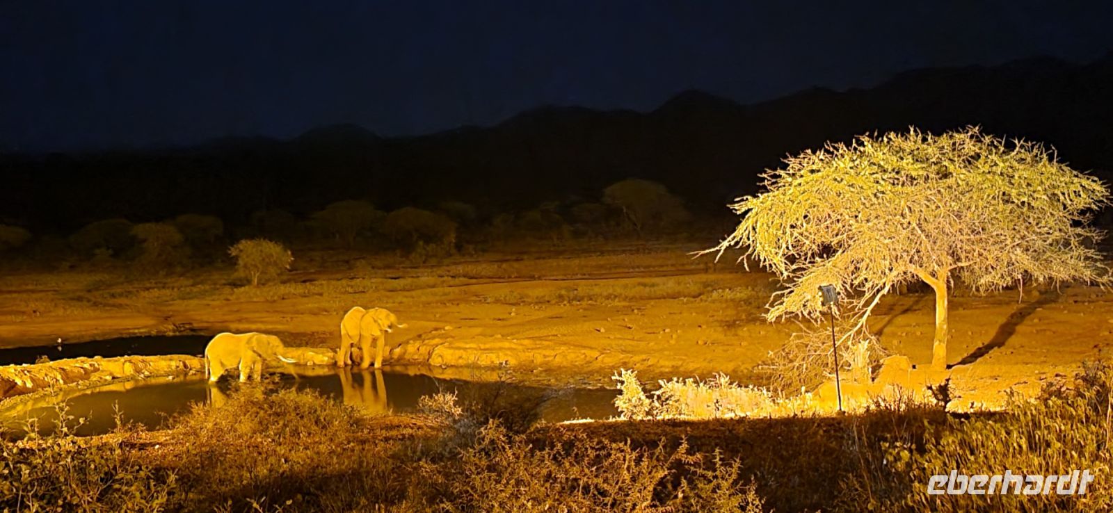 390 Abenstimmung am Wasserloch