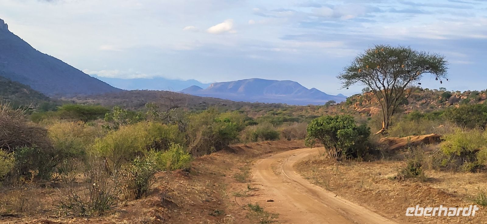 392 Landschaft Tsavo West