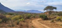 392 Landschaft Tsavo West