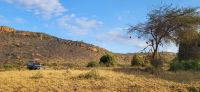 394 Landschaft Tsavo West