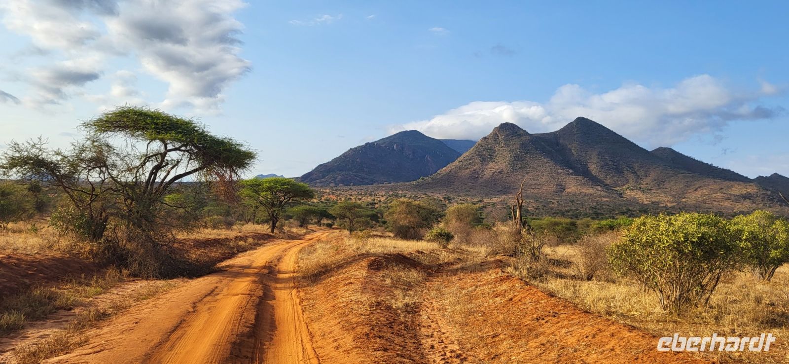 395 Landschaft Tsavo West