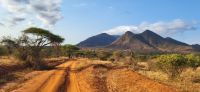 395 Landschaft Tsavo West