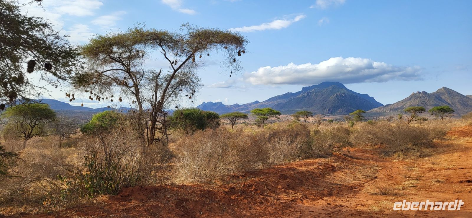 397  Landschaft Tsavo West