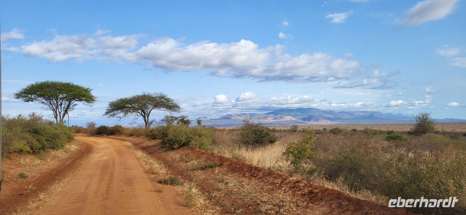 398 Landschaft Tsavo West