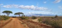 398 Landschaft Tsavo West