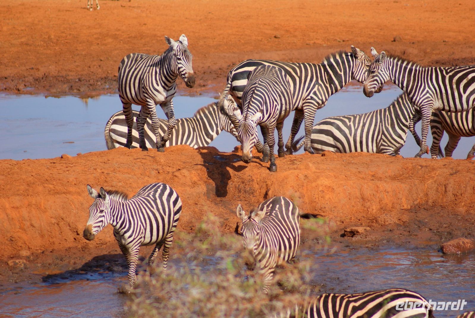409  Wasserloch Kilanguni Lodge