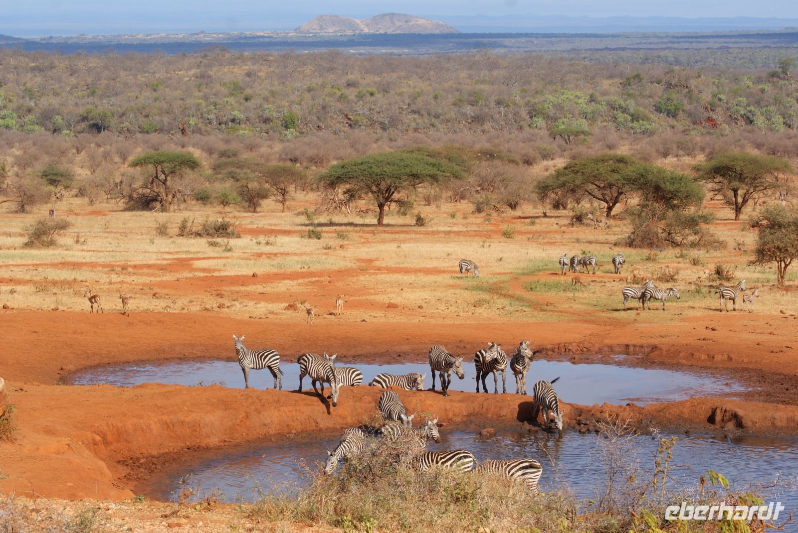 410 Wasserloch Kilanguni Lodge