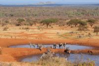 410 Wasserloch Kilanguni Lodge