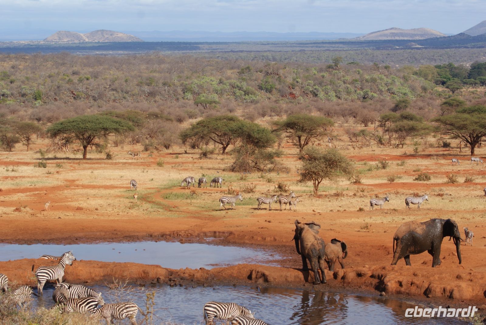 411 Wasserloch Kilanguni Lodge