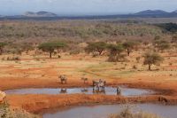 415 Wasserloch Kilanguni Lodge