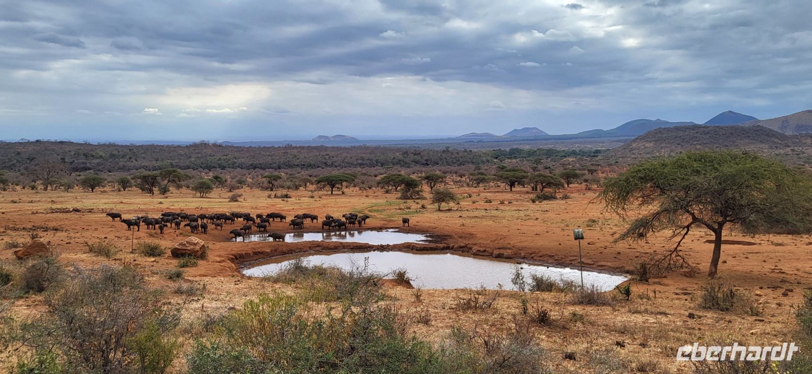 418 Wasserloch Kilanguni Lodge