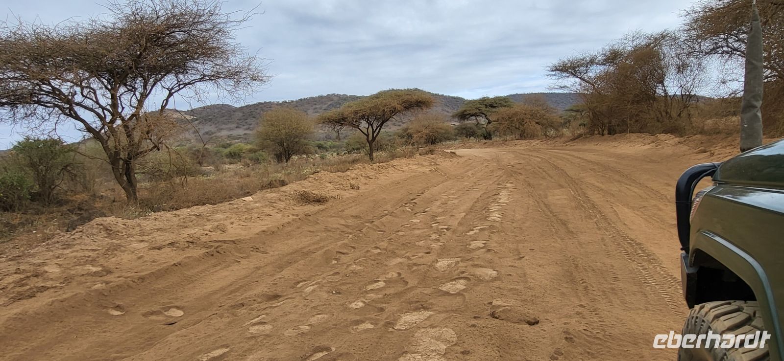 453 Elefantenspuren Tsavo West