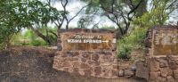 456 Mzima Springs