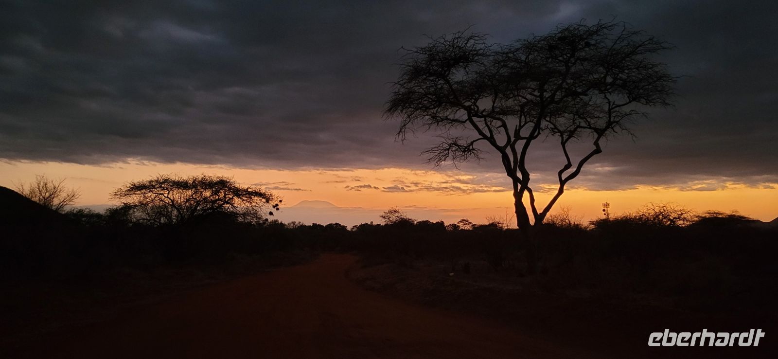 482 Abendstimmung mit Blick auf Kilimandscharo
