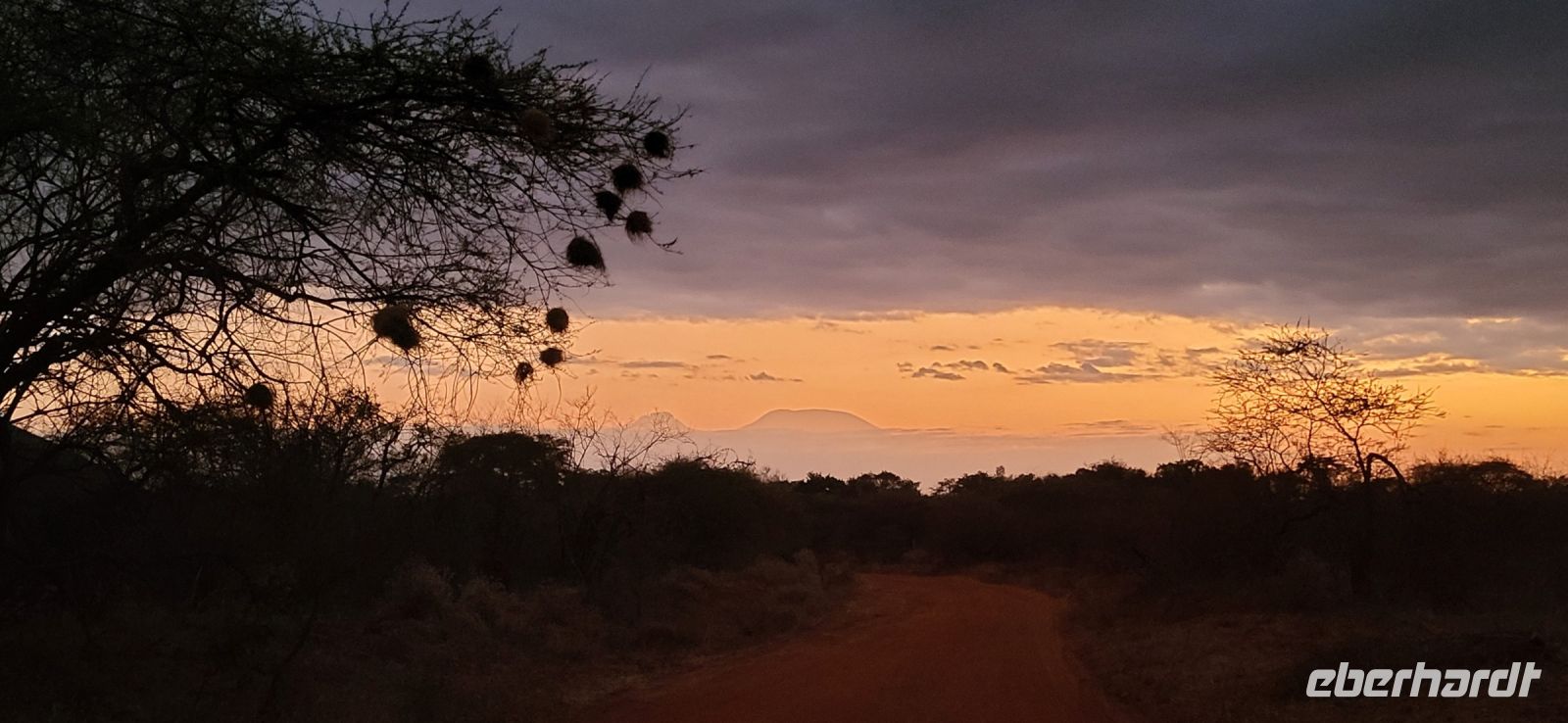 483 Abendstimmung mit Blick auf Kilimandscharo