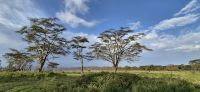213 Landschaft am Nakuru See