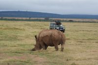 41 hautnahe Begegnungen