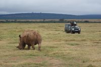 42  TIK This is Kenia 