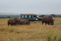 50 tolle Begegnungen