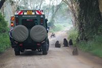 92 Ausreise Lake Nakuru