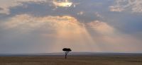 97 Abendstimmung Masai Mara