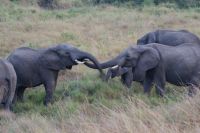 116 Begrüßung am Morgen