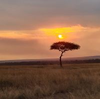 163 Sonnenuntergang Masai Mara