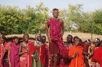 217 wer springt am höchsten