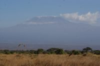 308 der höchste Berg Afrikas