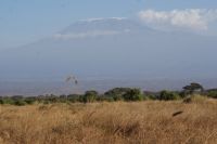 310 5895 m hoch gelegen