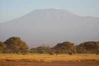 318 Kibo und die Elefanten