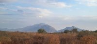 371 Landschaft Tsavo West