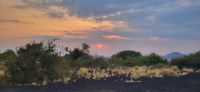 495 Sonnenuntergang Tsavo West