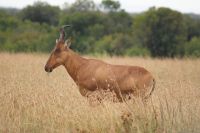 127 unterwegs in Ol Pejeta
