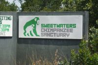 176 Besuch der Schimpansen Schutzzone