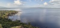 199 Lake Nakuru