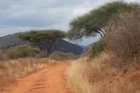 251 Piste Tsavo West