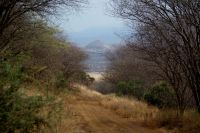 274 Savanne Tsavo West