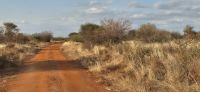 284 unterwegs in Tsavo West
