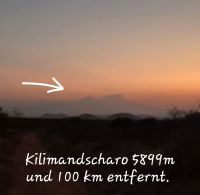 289 Kilimandscharo in Sicht