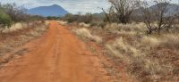 242 Piste in Tsavo West