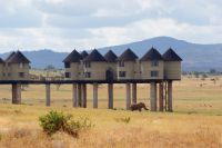 191 Saltlicklodge mit Elefant &ndash; &copy; Susanne Schirmann (Eberhardt TRAVEL)