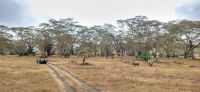 25 Solio Rhino Sanctuary